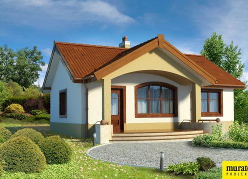 № 1383 Купить Проект дома Даинти. Закажите готовый проект № 1383 в Воронеже, цена 22835 руб.